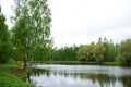 Lake in the depths of the forest. The beauty of the wild. Coniferous and deciduous trees grow in the forest. Cloudy