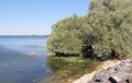 Lake of Der Chantecoq France