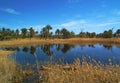 Lake in desert and date palms mirrored in water Royalty Free Stock Photo