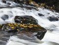 Lake District - Aira Force Waterfall Royalty Free Stock Photo