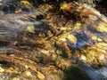 Lake District - Aira Force Waterfall Royalty Free Stock Photo