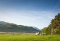 Lake District, Cumbria, UK Royalty Free Stock Photo