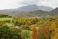 Autumn Colours, Lake District, Cumbria, England, UK Royalty Free Stock Photo