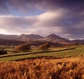 Lake district national park cumbria Royalty Free Stock Photo