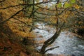 River Duddon between Birk`s Bridge and Seathwaite, Dunnerdale, Lake District, Cumbria