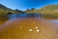 Lake Dove Tasmania Royalty Free Stock Photo