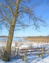 Lake Dreifelder Weiher near Hachenburg,Westerwald,Germany