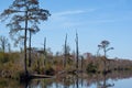 Lake Drummond Coast