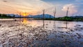 Lake with dry tree and mountain in sunset Royalty Free Stock Photo