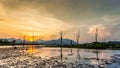 Lake with dry tree and mountain in sunset Royalty Free Stock Photo