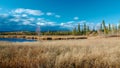 Lake with dry yellow grass