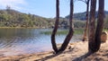 Lake at Dunns Swamp with Eucalypts