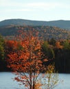 Lake Durant in Hamilton County Adirondacks in autumn foliage Royalty Free Stock Photo