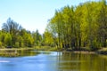 Lake early in the spring. Trees, sunny day, blue sky.