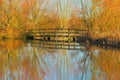 Lake in East Devon AONB Royalty Free Stock Photo