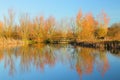 Lake in East Devon AONB Royalty Free Stock Photo