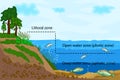 Pond or river freshwater zones diagram with text for education. Lake ecosystems division into littoral, open water and deep water