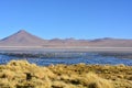 Lake in Eduardo Alvaroa Natonal Park, Bolivia