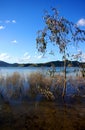 Lake Eildon - Homepoint Royalty Free Stock Photo