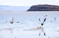 Lake in El Calafate, Patagonia, Argentina