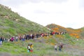 Thousands of people climbing the trail to view wildflower super bloom