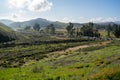 Lake Elsinore, California - March 22, 2019: Lines of cars as far as the eye can see, shows the difficult traffic and parking