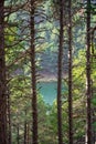 Lake Engolasters in Andorra. Coniferous trees and lake between them. Beautiful  landscape Royalty Free Stock Photo