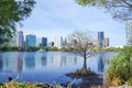 Lake Eola, High-rise buildings, skyline, and fountain Royalty Free Stock Photo