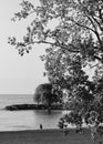 The beautiful beaches of Cleveland and Lake Erie in black and white