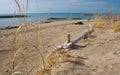 Lake Erie shoreline