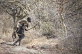 Zabe hunter in a african bush