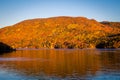 Lake in the fall in Cape Breton Royalty Free Stock Photo