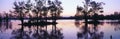 Lake Fausse Pointe State Park at sunset