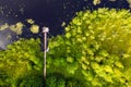 Lake for fishing with wooden pier, aerial view. Mole pier on the lake. Aerial landscape, summer lake shore with dock for boats Royalty Free Stock Photo