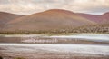 Lake with flamingos of Atacama Desert. Mountains northern from San Pedro de Atacama. Stunning scenery in sunlight at Atacama deser Royalty Free Stock Photo