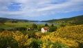 The Lake and The Flowers