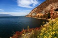 Lake with flowers and mountain