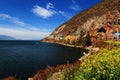 Lake with flowers and mountain