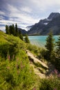 Lake Flowers - Yoho National Park, British Columbia, Canada Royalty Free Stock Photo