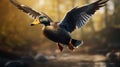 Duck Flying In Front Of River - Daz3d Style Wallpaper