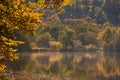 Lake fog landscape with Autumn foliage and tree reflections in Styria, Thal, Austria