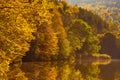 Lake fog landscape with Autumn foliage and tree reflections in Styria, Thal, Austria