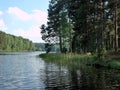 The lake in forest