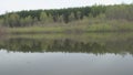 Trees on the background of the lake in cloudy weather. Nature background.