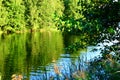 Lake in the forest. Green landscape Royalty Free Stock Photo