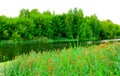 Lake in the forest. Green landscape Royalty Free Stock Photo