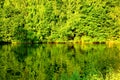 Lake in the forest. Green landscape Royalty Free Stock Photo