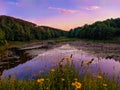 Lake in the forest