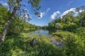 Lake in the forest Leningrad region, Russia. Russian nature Royalty Free Stock Photo