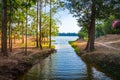 Lake and forest near temple complex Angkor Wat, Siem Reap, Cambodia Royalty Free Stock Photo